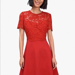 Kate Spade Rose Lace Bodice Ponte Red Dress